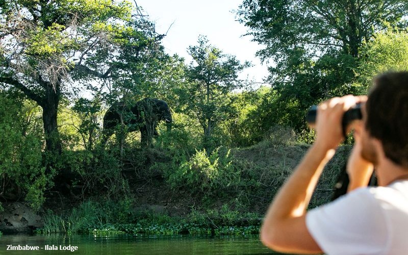 Jenman - Grand Zambezi Tour  ( Livingstone - Victoria Falls)